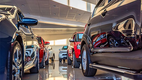 cars lined up in a showroom